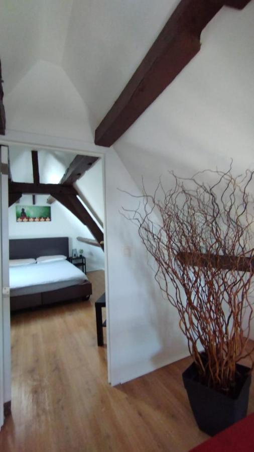 The 16Th Century Duplex In The City Center Apartment Antwerp Exterior photo